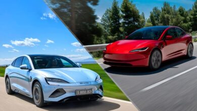 Tesla vs. BYD